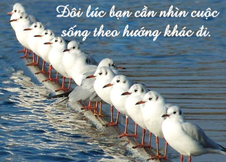 Sự khác biệt